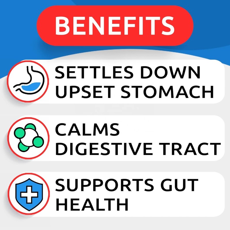 Pet Pumpkin Powder Supplier - Pumpkin Dogs Powdered Fiber Supplement Stool Softener Diarrhea