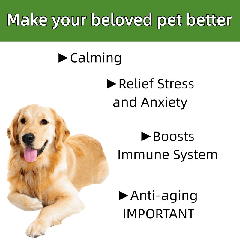 Pet Hem Oil Supplier - OEM Private Label Organic Hem Oil 100% Pure Full Spectrum Pain Relief