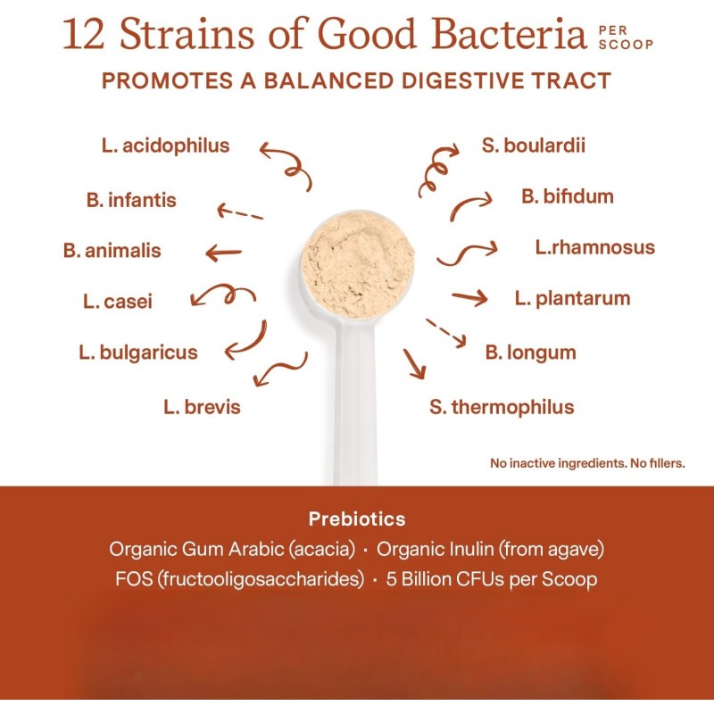 Pet Probiotic Powder Supplier - Wholesale Private Label Probiotics Powder for Dogs Cats Gut Immune