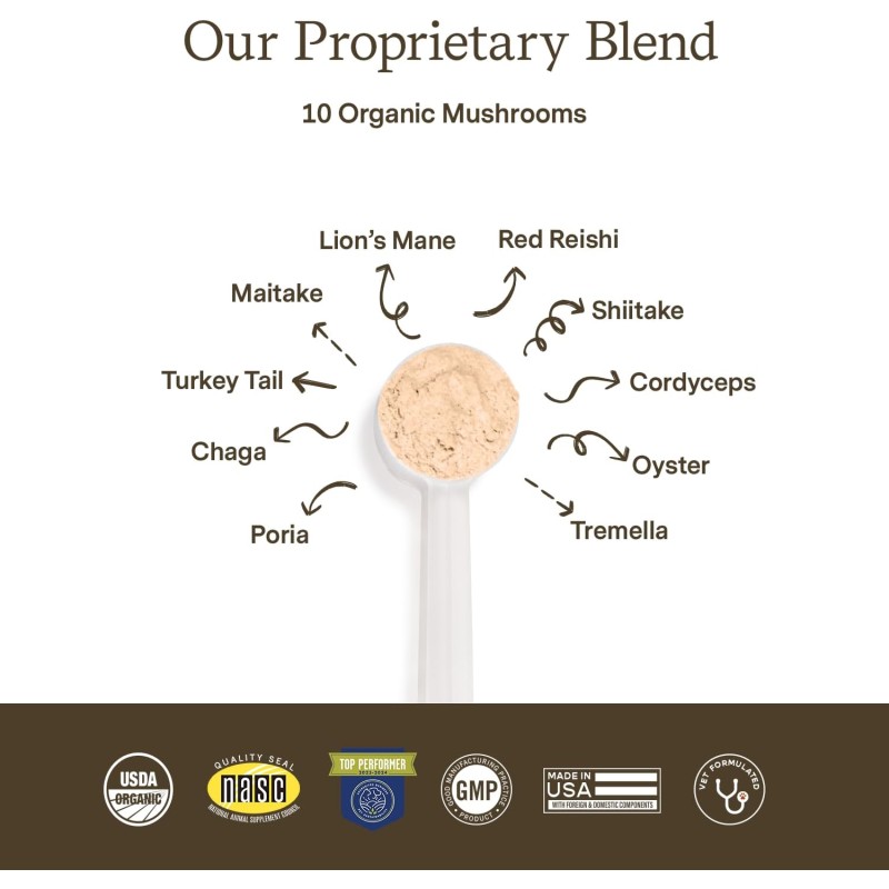 Pet Mushroom Powder Manufacturer - Private Label 150g Mushroom Powder Blend Immunity Organic