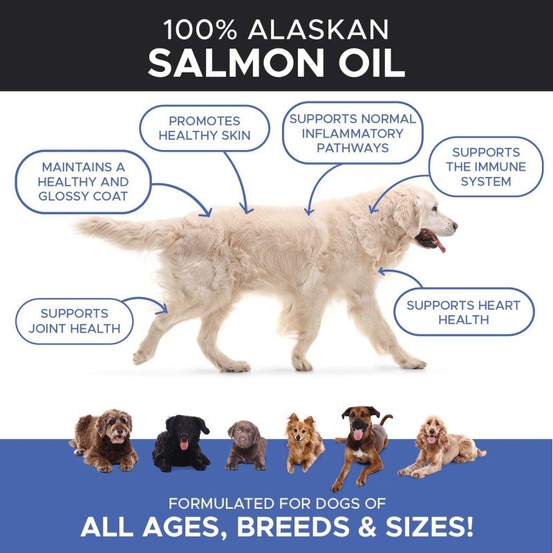 Pet Liquid Supplement Supplier - Liquid Food Supplement with Salmon Oil Joint Brain Immune