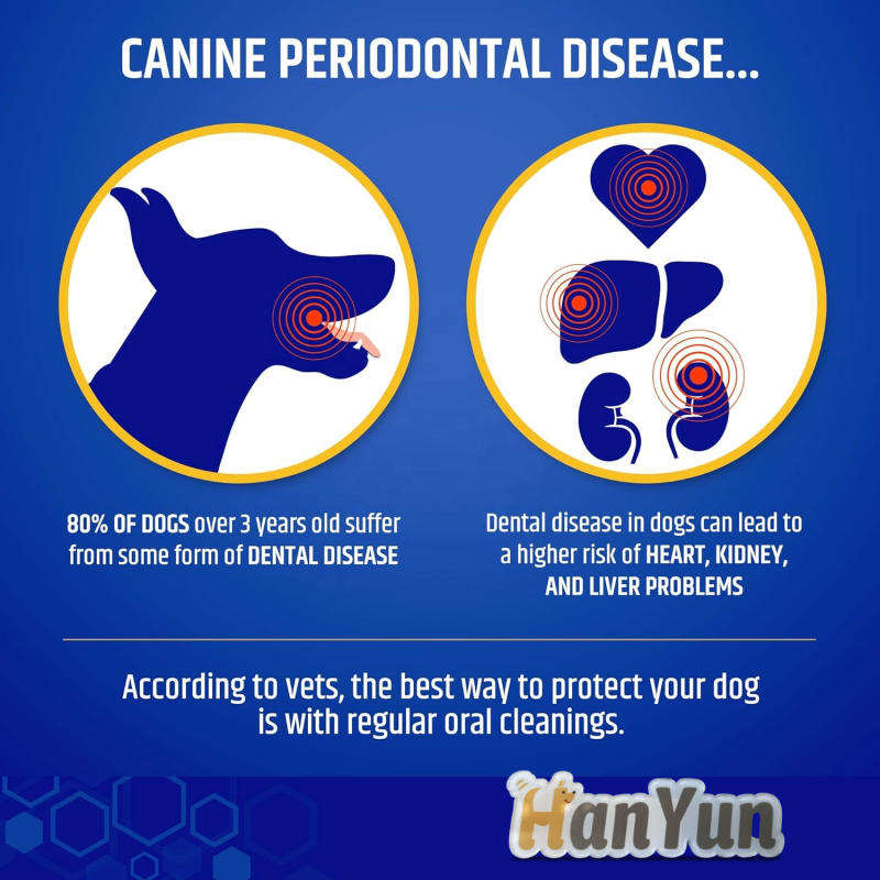 Pet Dental Powder Factory - Dental Powder for Dogs Cats Clean Teeth Healthy Gums Fresh Breath