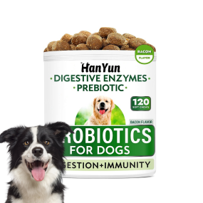 Pet Digestive Supplement Manufacturer - Probiotic Soft Chews Supplement Sensitive Digestive Pumpkin