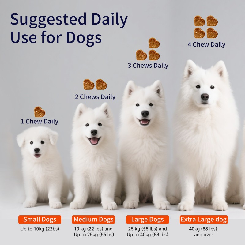 Pet Joint Chews Manufacturer - OEM Factory Dog Joint Supplement Soft Chews Glucosamine Chondroitin