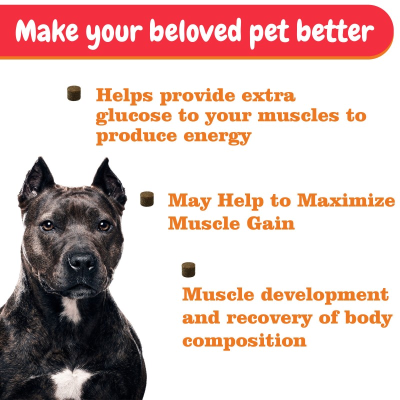 Pet Muscle Supplement Supplier - Professional Custom Brand Dog Muscle Soft Chews Immune System