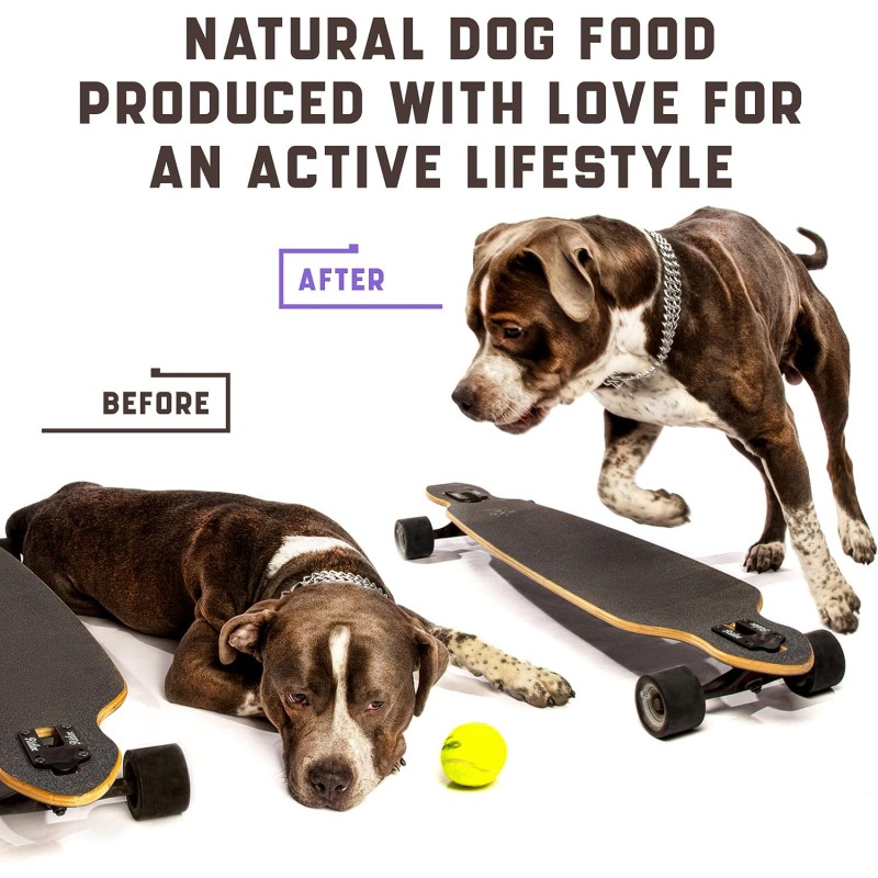 Pet Hip Joint Factory - Hip Joint for Pet Dog Treats Glucosamine MSM Chondroitin Soft Chews