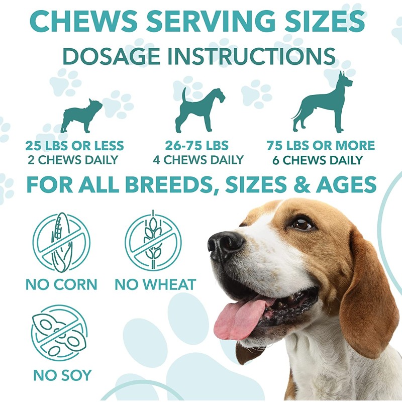 Pet Calming Treats Manufacturer - Pet Supplement Factory Calming Treats 120 Soft Chews Anxiety