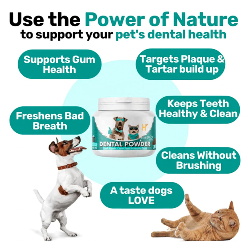 Pet Oral Health Supplier - Refreshes Breath Dental Powder Oral Health Clean Teeth Healthy Gums