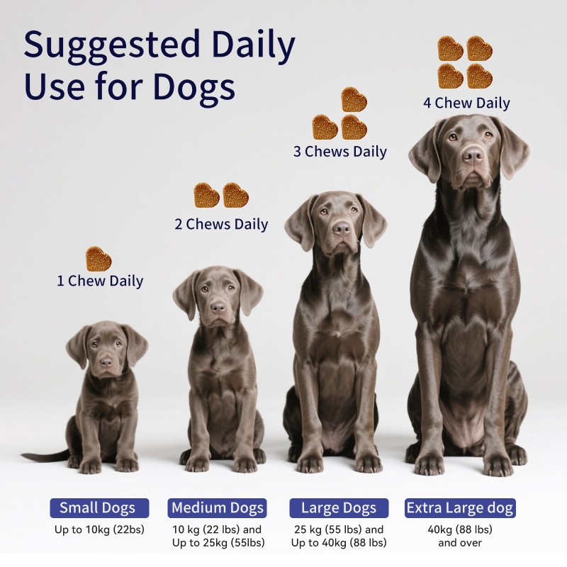 Pet Joint Treats Factory - Joint Soft Treats Chondroitin MSM Hip Joint Supplement Glucosamine Pain