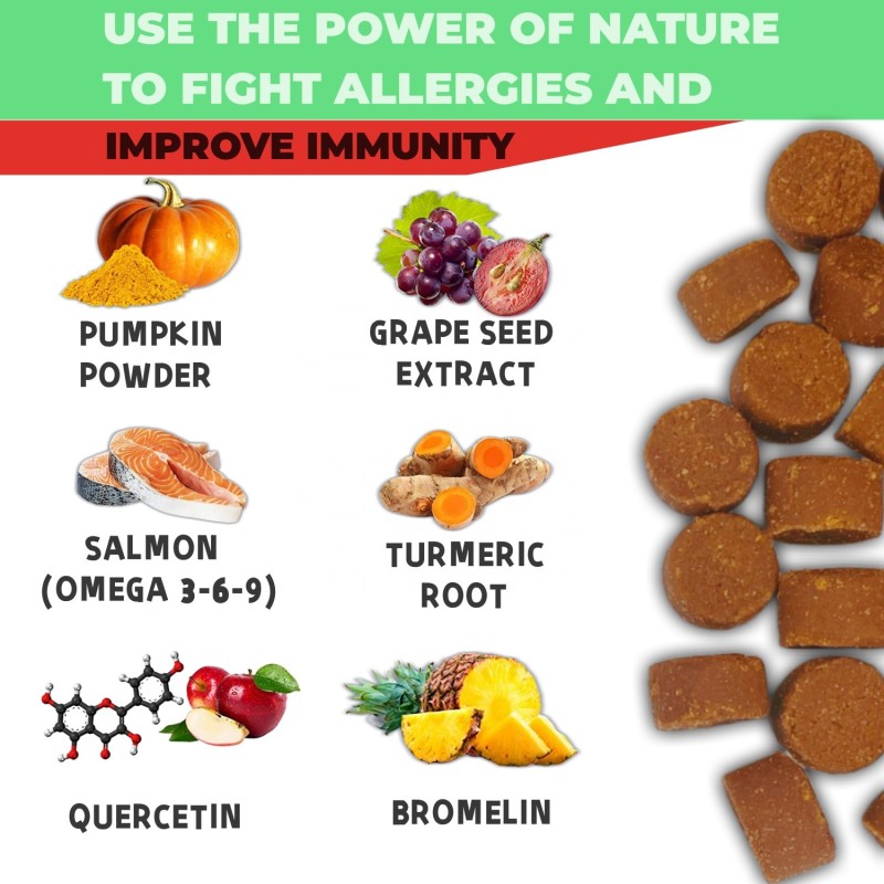 Pet Allergy Chews Manufacturer - Organic Allergy Soft Chews Customizable Brand Meat Pain Relief