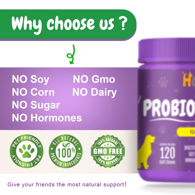 Pet Probiotic Chews Supplier - OEM ODM Digestive Probiotic Soft Chews Immune Health Nutrition