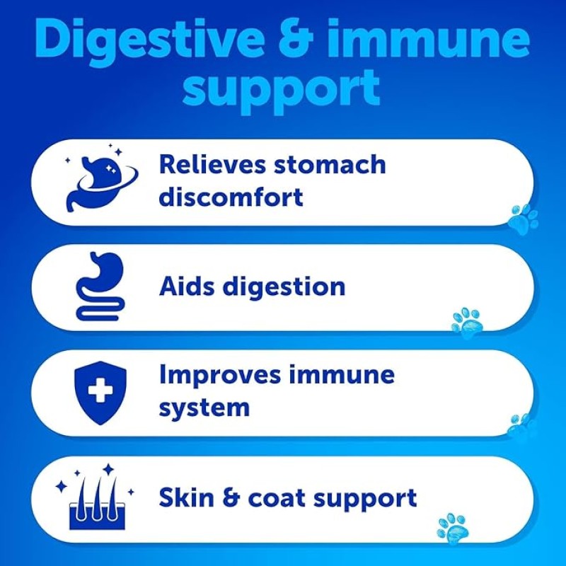 Pet Probiotic Chews Manufacturer - OEM Wholesale Probiotics Soft Chews Digestive Health Support