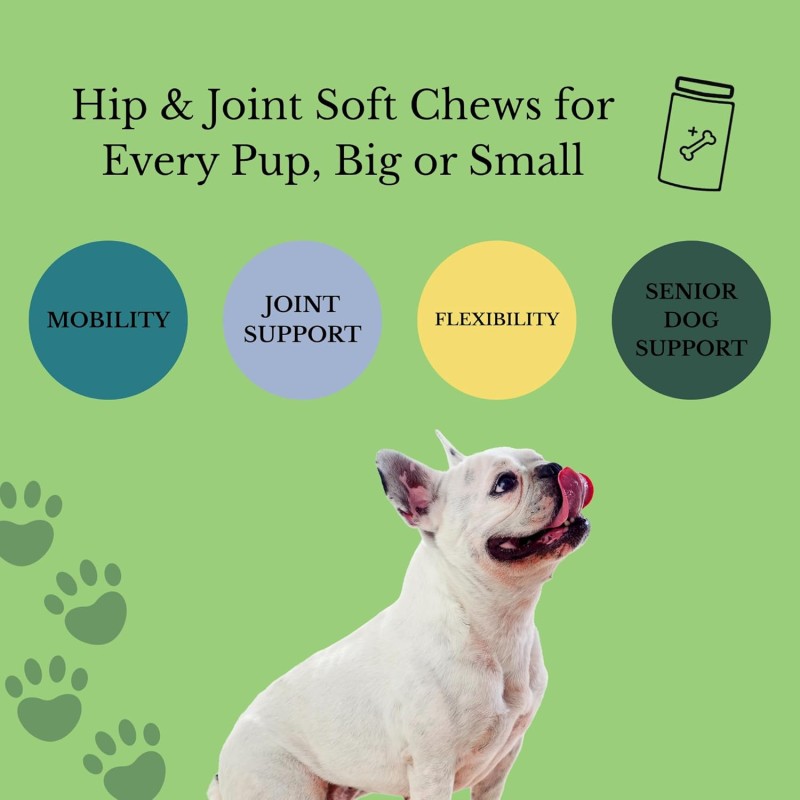 Pet Functional Supplement Supplier - OEM ODM Custom Functional Supplement Hip Joint Soft Chews