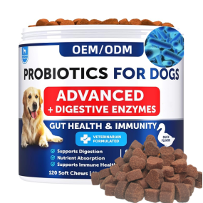 Pet Probiotic Chews Manufacturer - OEM Wholesale Probiotics Soft Chews Digestive Health Support