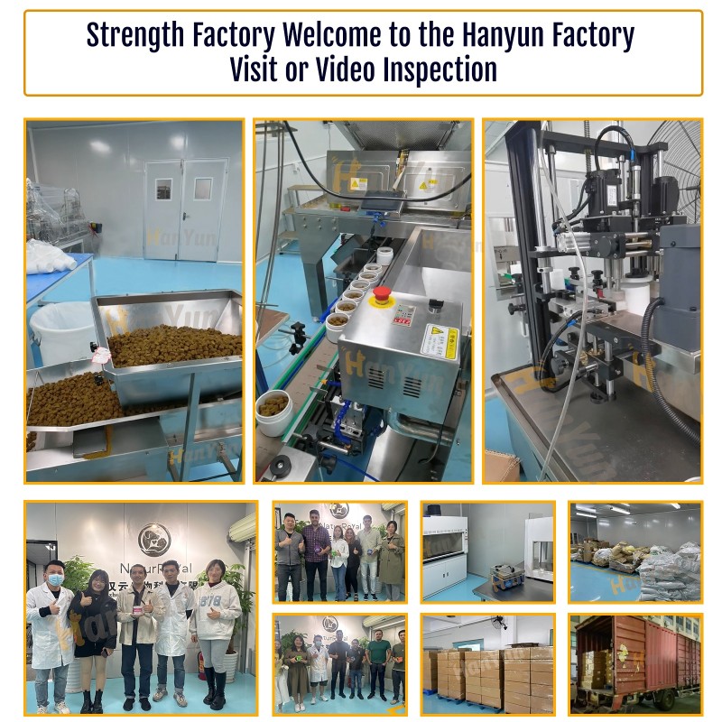 Pet Mushroom Powder Manufacturer - Private Label 150g Mushroom Powder Blend Immunity Organic