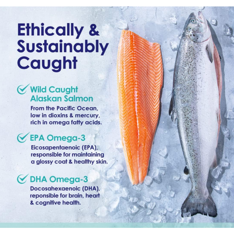 Salmon Oil Supplement Manufacturer - Factory Price OEM ODM Pure Wild Alaskan Salmon Oil for Dogs