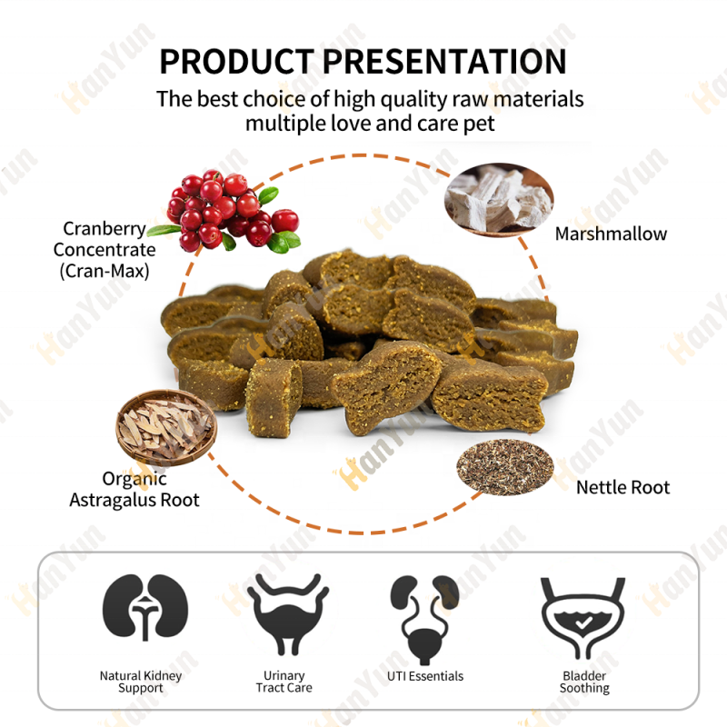 Pet Bladder Bites Supplier - Hanyun Wholesale Cranberry Bladder Bites Kidney Urinary Tract Health
