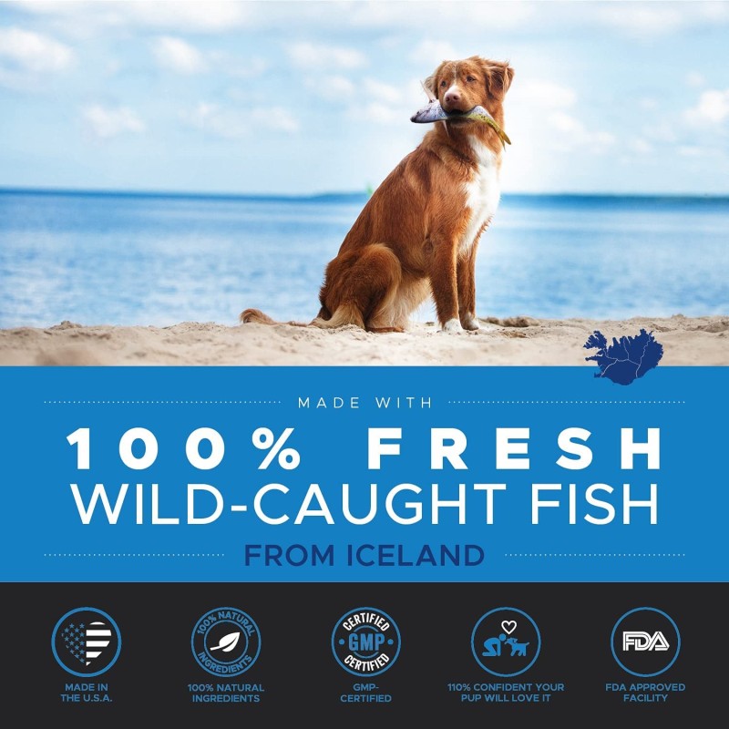 Pet Salmon Oil Factory - Wild Alaskan Salmon Fish Liquid Supplement Joint Heart Immune Skin