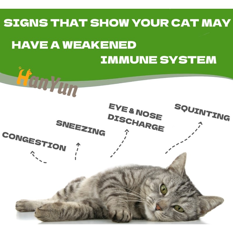 Pet Immune Gel Factory - Pet Immune Support Gel Nutritional Paste Relief Nose Sneezing Congestion