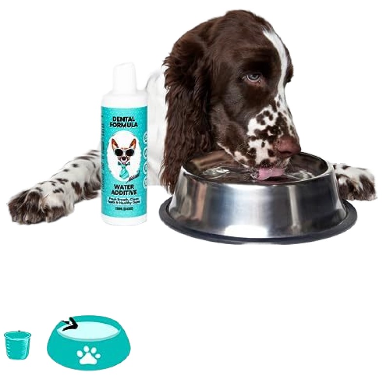 Pet Dental Water Manufacturer - Hot Selling Dental Water for Dogs Cats Clean Teeth Healthy Gums