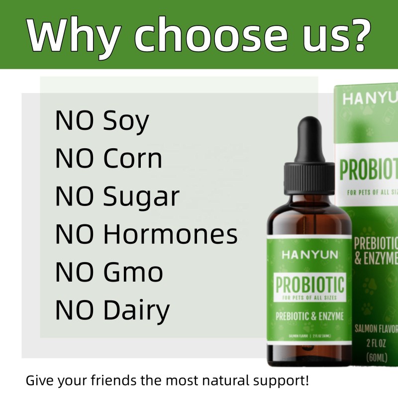 Pet Probiotic Drops Factory - OEM ODM Probiotic Drops Digestive Enzymes Gastrointestinal Discomfort