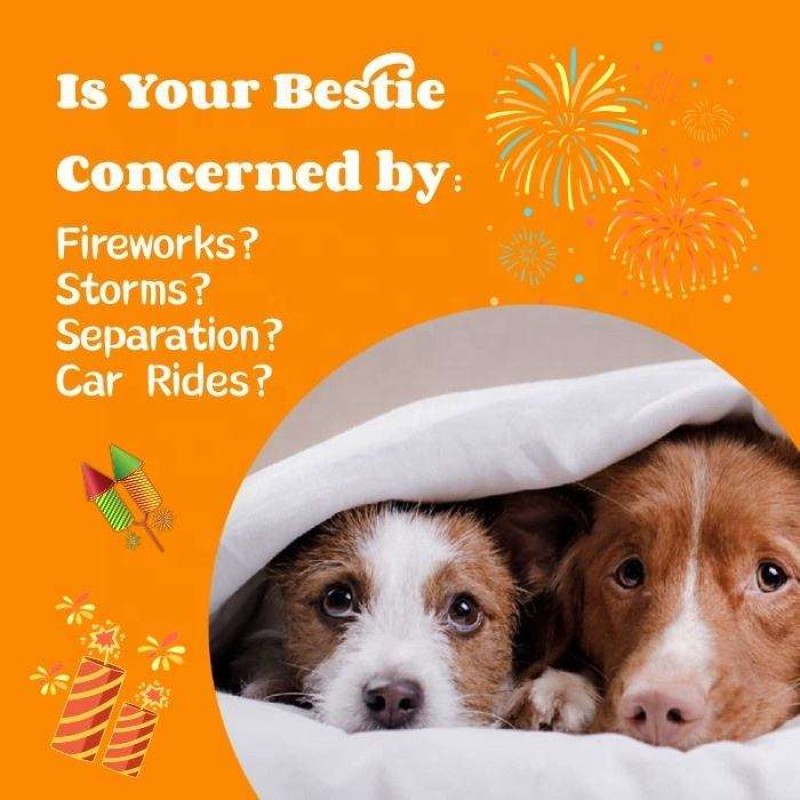 Pet Calming Chews Supplier - Custom Private Brand Professional Calming Chews Treats for Dogs