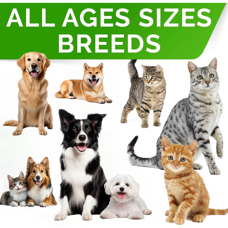 Pet Lactoferrin Supplement Supplier - Factory Professional Custom Brand Natural Lactoferrin Capsules