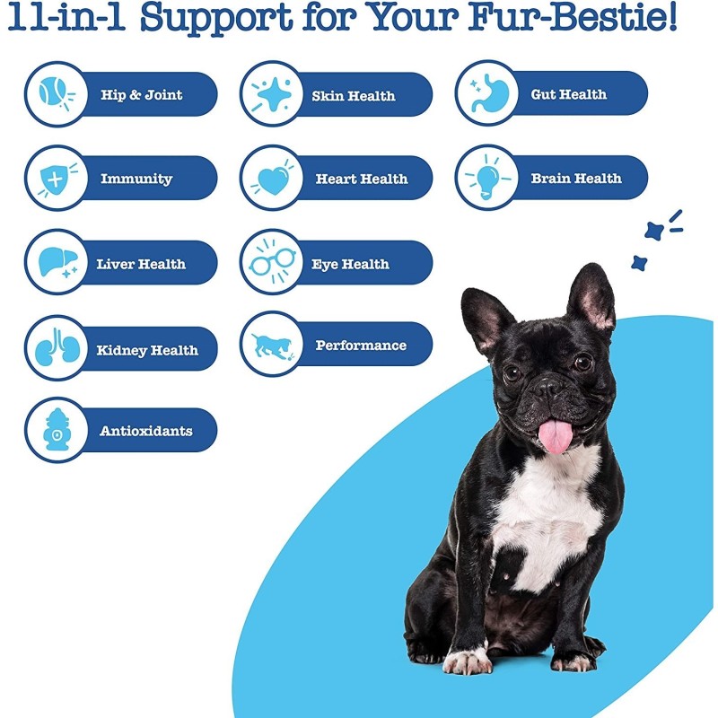 Pet Joint Chews Supplier - Hanyun Glucosamine Hip Joint Supplement 120ct Soft Chews Chondroitin MSM