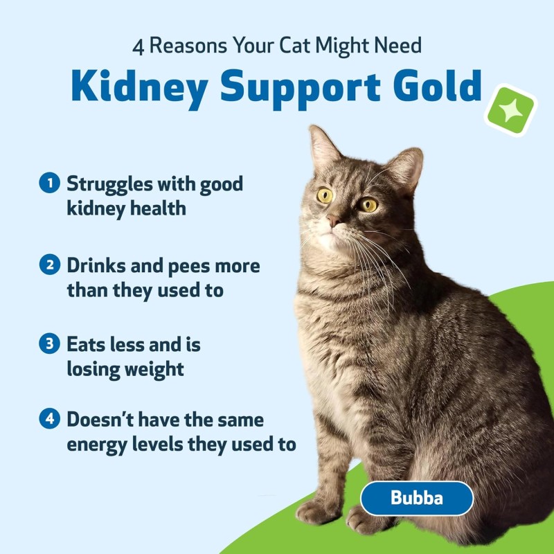 Pet Kidney Supplement Manufacturer - Private Label Organic Kidney Liquid Drop Support Kidney Bladder