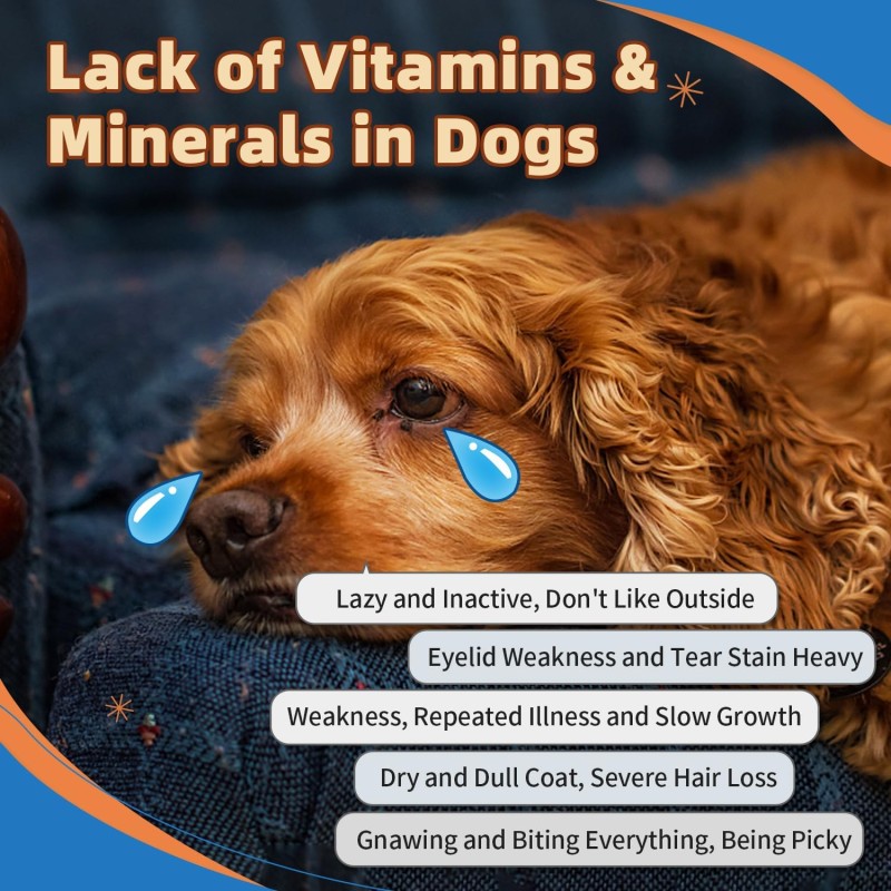Pet Multivitamin Powder Manufacturer - Free Sample 15 in 1 Multivitamin Powder for Dogs Cats