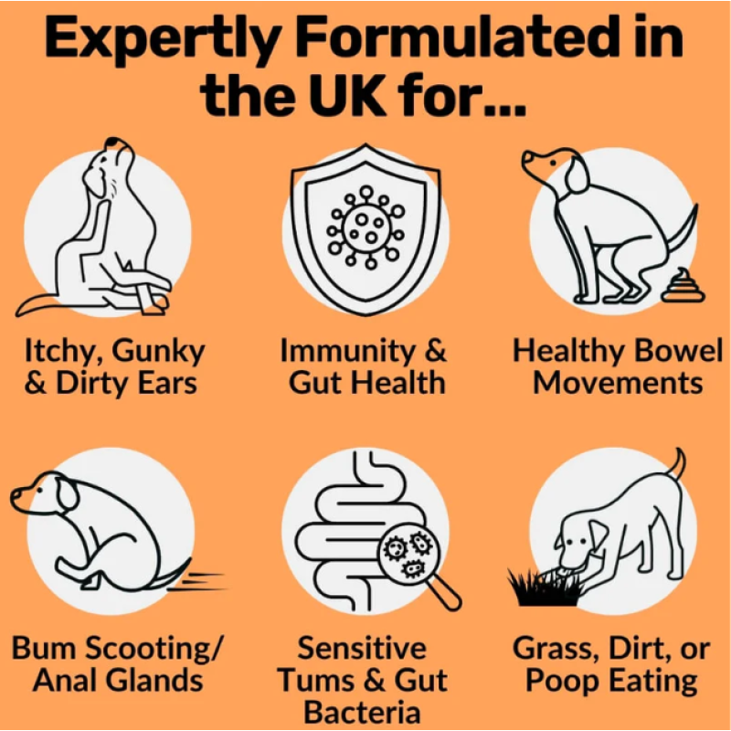 Pet Probiotic Chews Manufacturer - OEM Pre Probiotics Soft Chews Digestive Health Itchy Relief