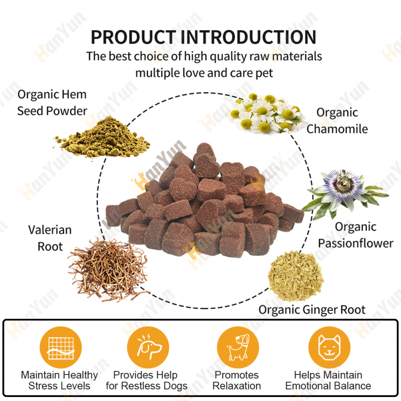 Pet Calming Chews Factory - Hanyun Pure OEM ODM Anxiety Relief Soft Chews Custom Flavor Dog Supplement