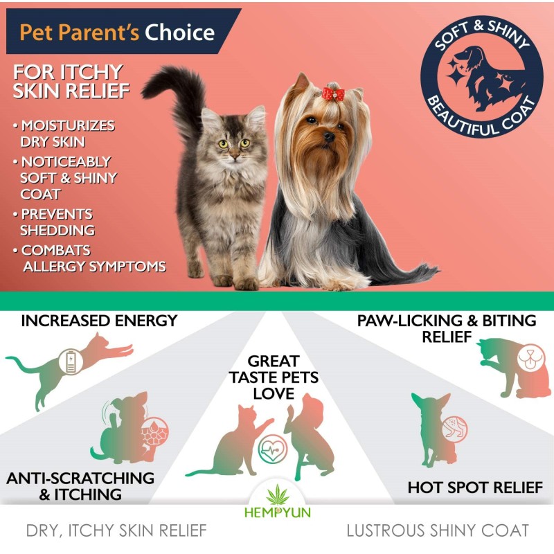 Pet Liquid Supplement Manufacturer - Liquid Food Supplement with Pure Alaskan Salmon Oil Soft