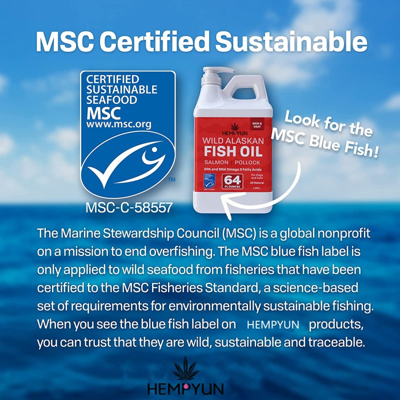 Pet Fish Oil Factory - Salmon Oil Fish Oil Omega 3 Liquid Food Supplement Skin Coat Joints