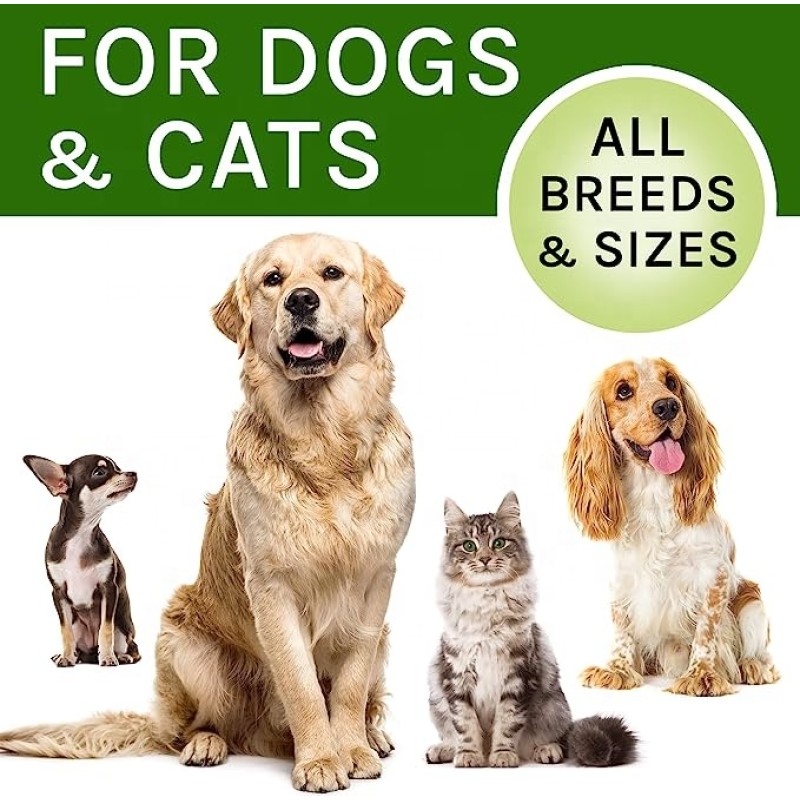 Pet Cough Treatment Supplier - HANYUN Kennel Cough Treatment Allergy Immunity Respiratory Health