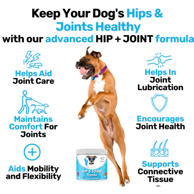 Pet Hip Joint Supplier - Private Label Hip Joint Treats Chews Flexible Mobility Glucosamine MSM