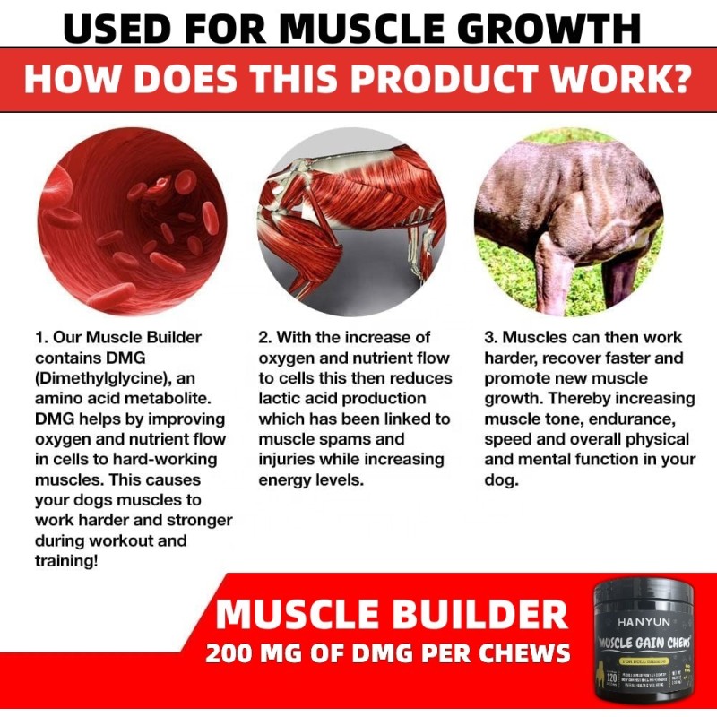 Pet Muscle Supplement Factory - Wholesale Private Label Dog Muscle Supplement Hip Joint Chews