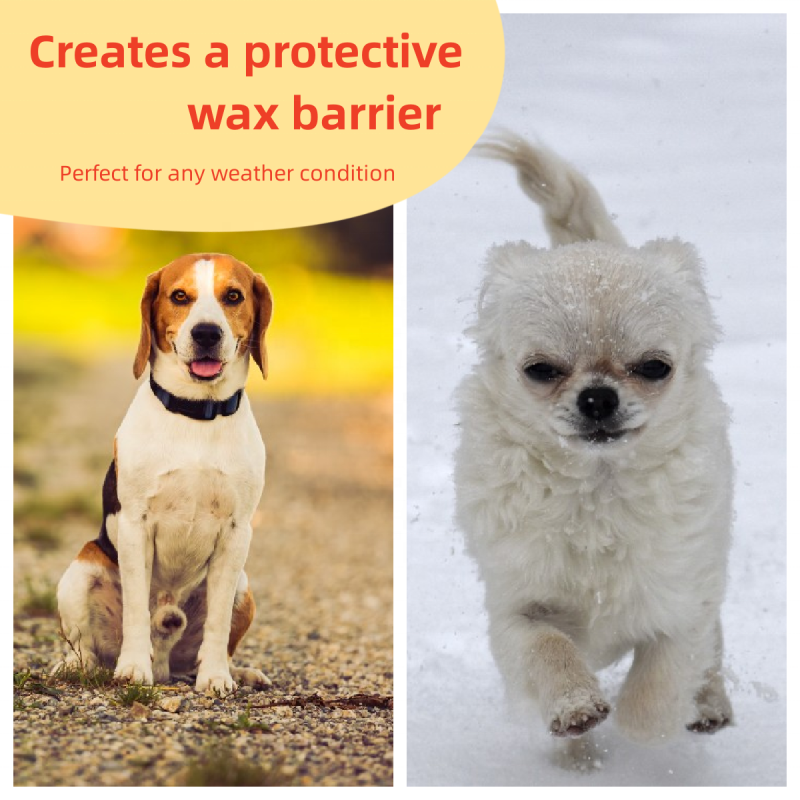 Pet Paw Balm Supplier - OEM ODM 2oz Private Label PawTection Balm Stick All-Natural Moisturizer