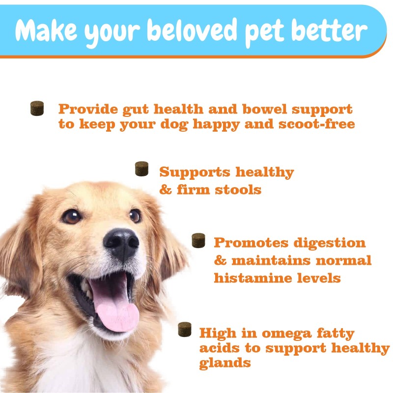 Pet Anal Gland Supplement Factory - Anal Gland Supplement Normal Bowel Function Probiotic Chews