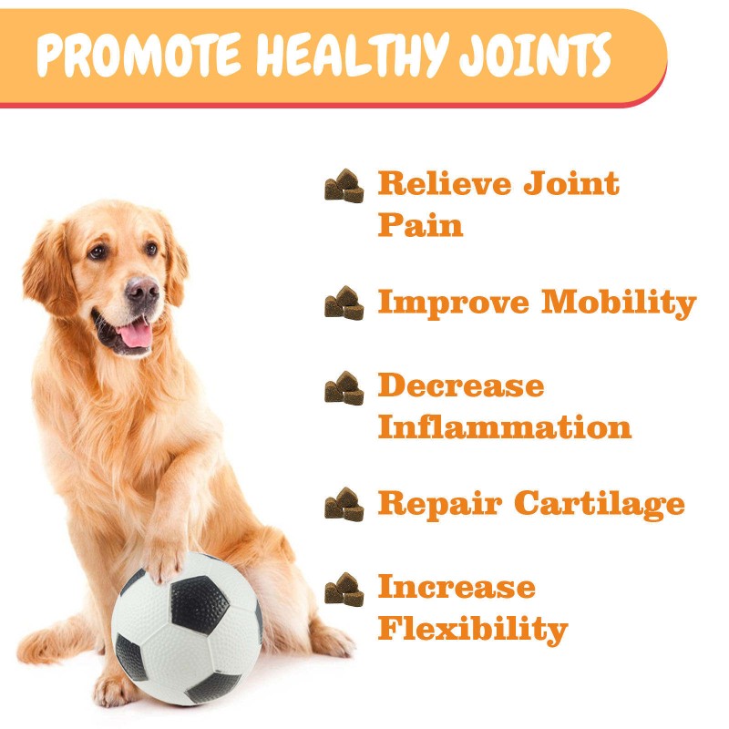 Pet Nutrition Supplement Factory - Private Label Natural Organic Chondroitin Hip Joint Soft Chews