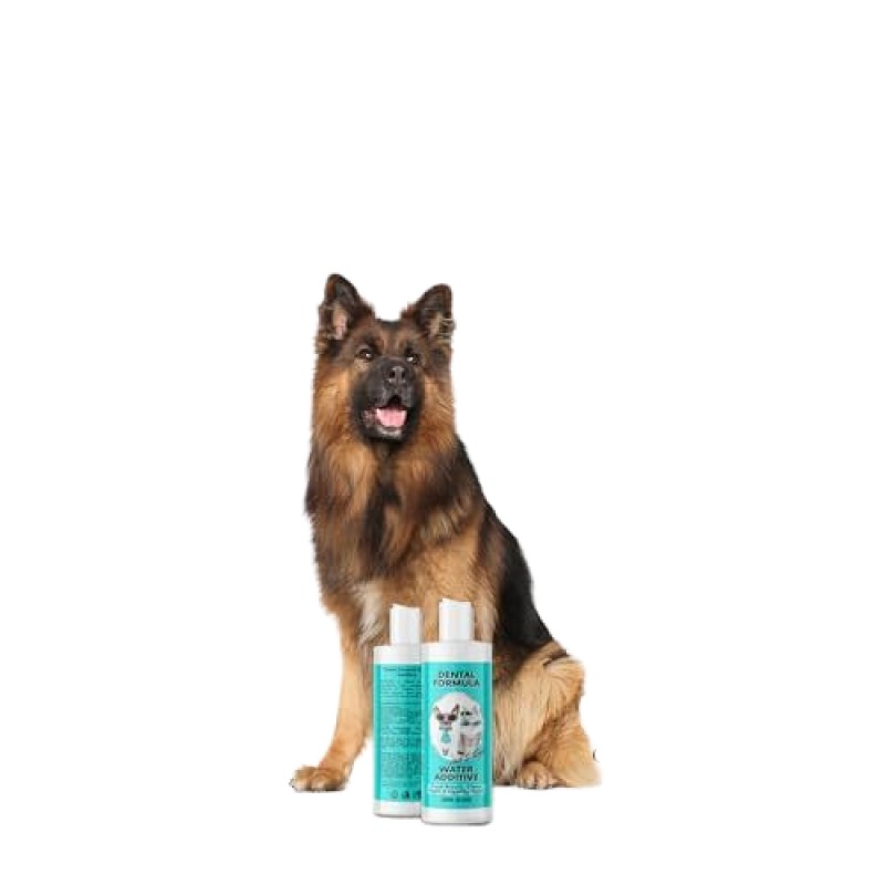 Pet Dental Water Manufacturer - Hot Selling Dental Water for Dogs Cats Clean Teeth Healthy Gums