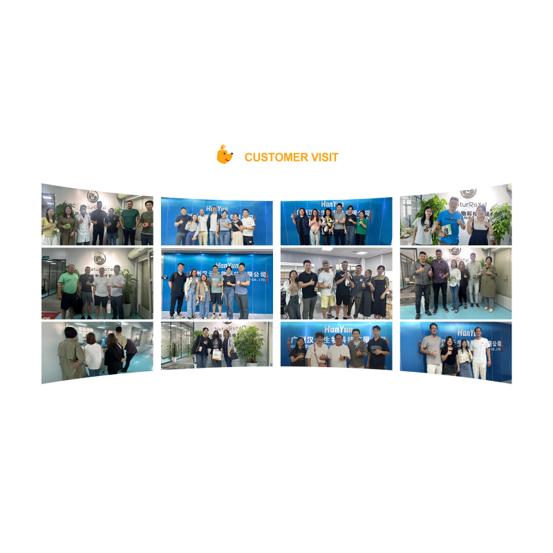 Pet Cognition Powder Manufacturer - Factory Price Cognition Powder for Dogs Cats Brain Health