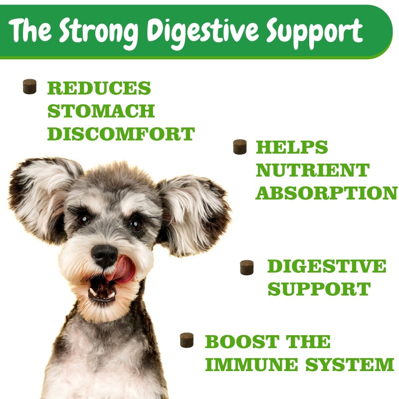 Pet Probiotic Supplier - With Natural Supplements Probiotic Soft Chews Health Supplements Treats