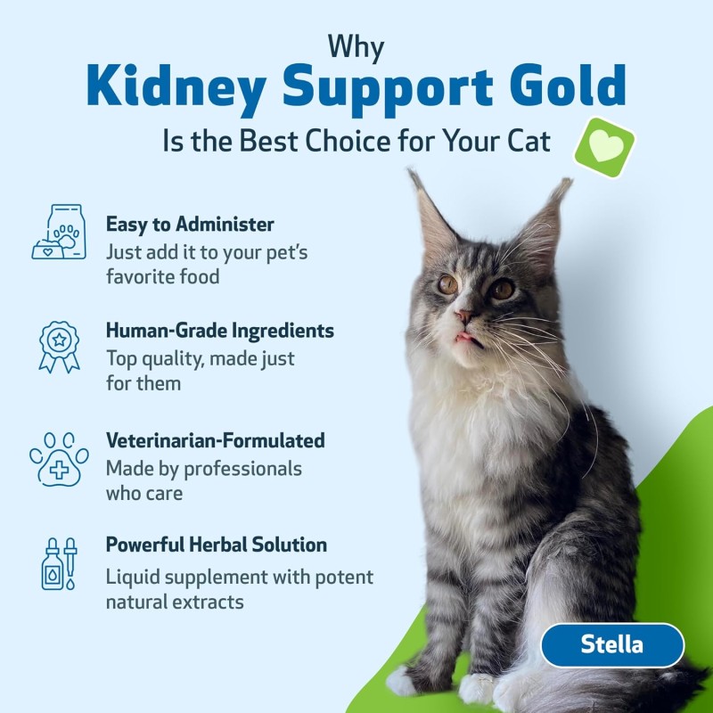 Pet Kidney Supplement Manufacturer - Private Label Organic Kidney Liquid Drop Support Kidney Bladder