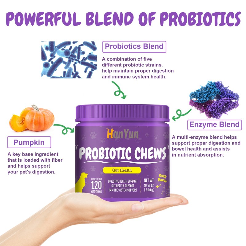 Pet Probiotic Chews Supplier - Wholesale Private Custom Probiotics Soft Chews Digestive Immune