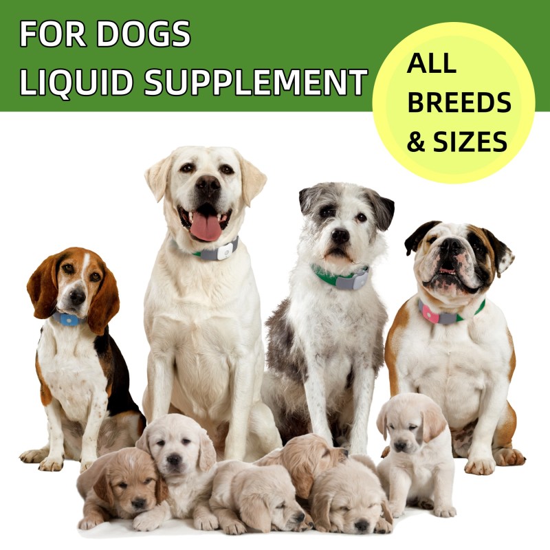 Pet Cough Supplement Factory - Hanyun Cough Immune Liquid Food Dropper Relieves Cough Wheezing