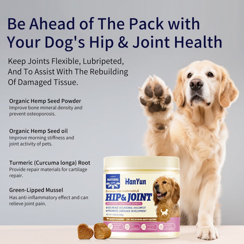 Pet Multivitamin Supplier - Dog Multivitamin Pet Supplements Vitamin Chews Enhance Immune System