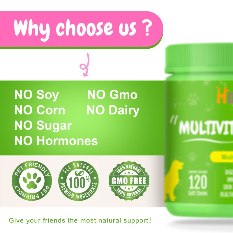 Pet Liquid Vitamins Manufacturer - 10-in-1 Pet Vitamins Glucosamine Liquid Drops Gut Immune Joint