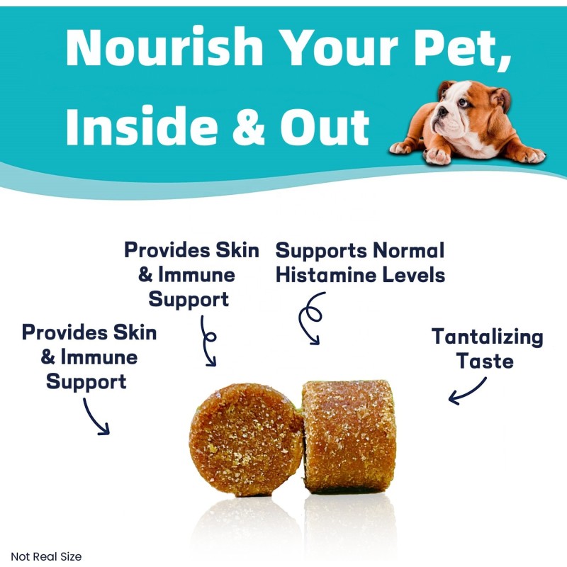 Pet Allergy Chews Manufacturer - Organic Allergy Soft Chews Customizable Brand Meat Pain Relief