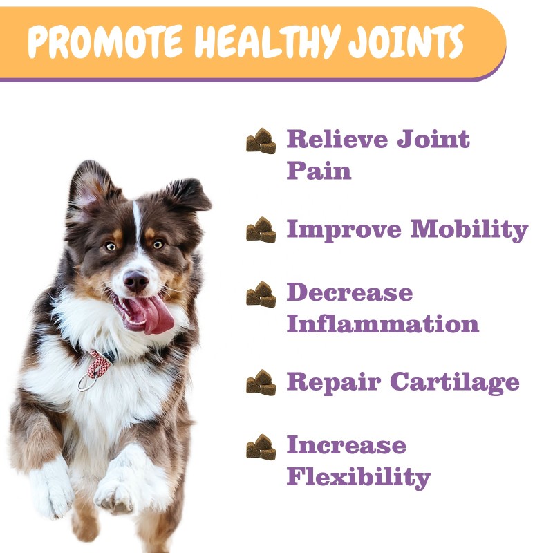 Pet Joint Chews Manufacturer - Wholesale Hip Joint Soft Chew Improve Mobility Energy Relief Pain